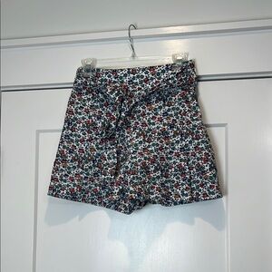 J. Crew High Waist Red and Blue Shorts size 0.
